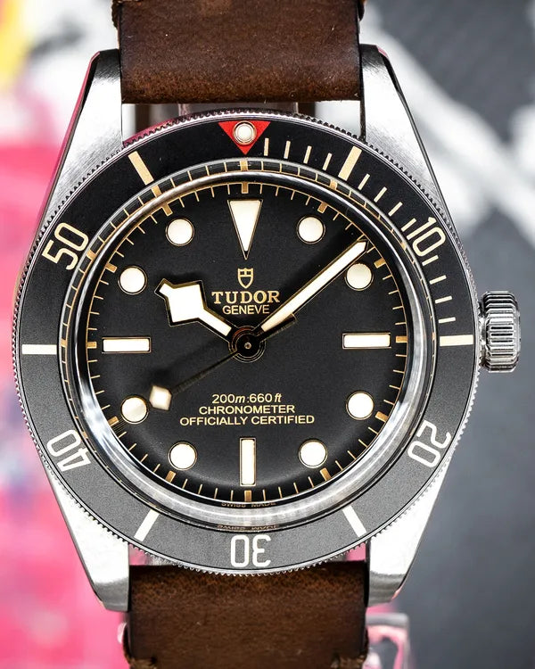 (Albert) Tudor Black Bay (79030N)