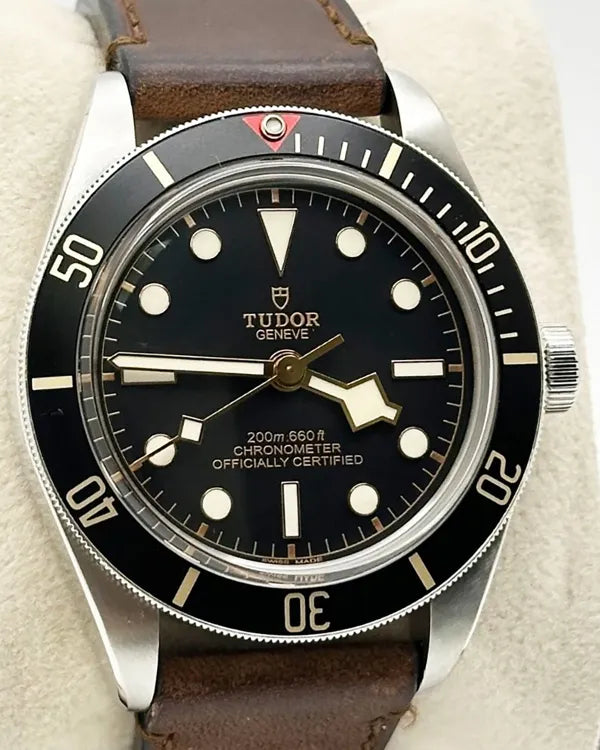 Tudor Black Bay (79030N)