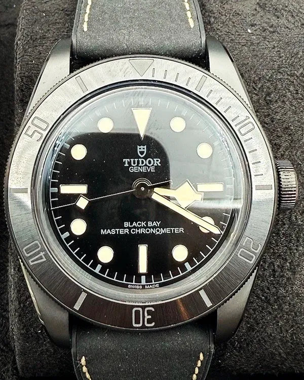 Tudor Black Bay (M79210CNU)