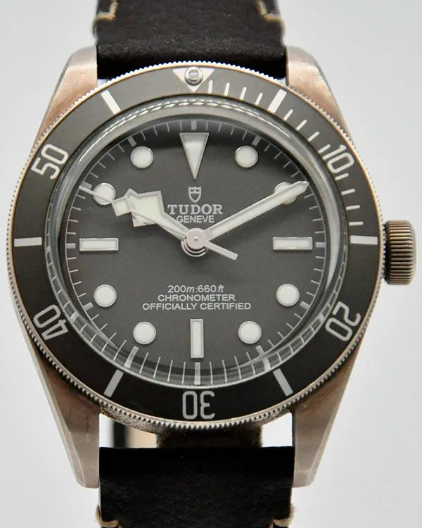 Tudor Black Bay &