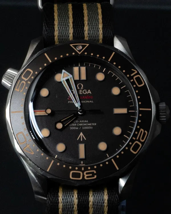Omega Seamaster (21092422001001)