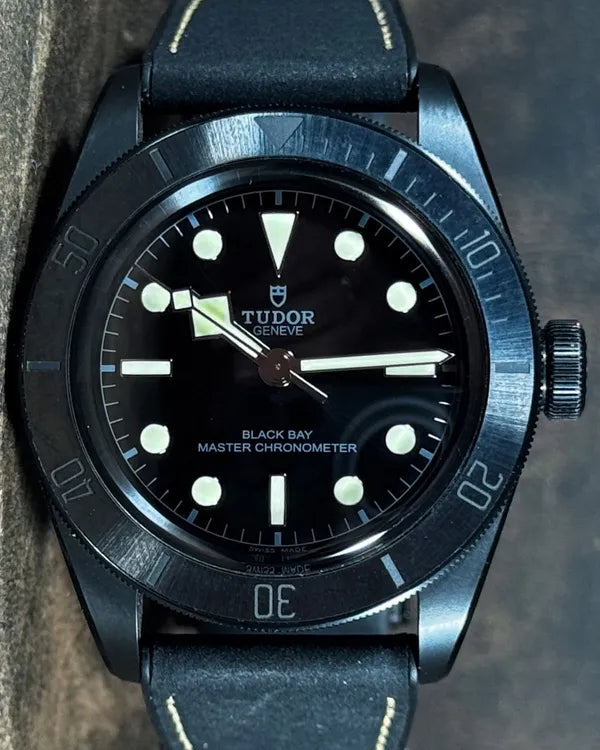 Tudor Black Bay 41MM Black Dial Leather Strap (79210CNU)