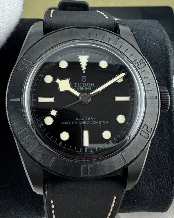 Tudor Black Bay (79210CNU)