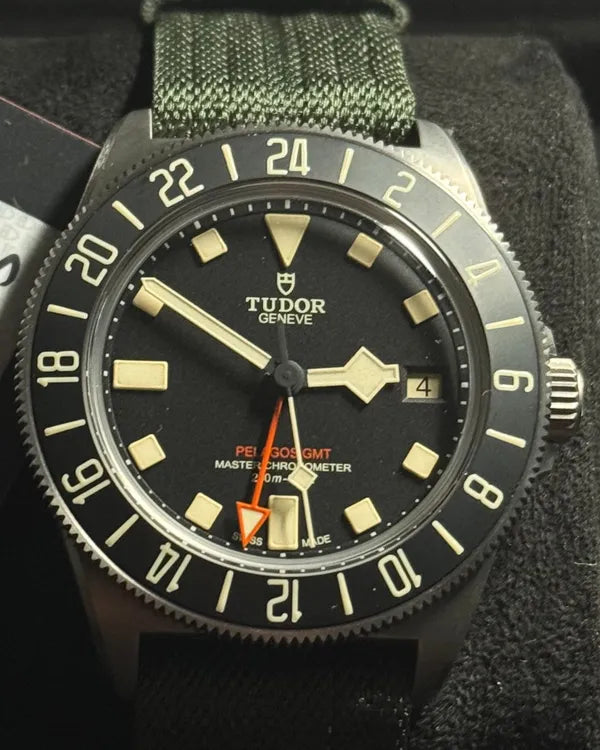 Tudor Pelagos (2542G257NU)
