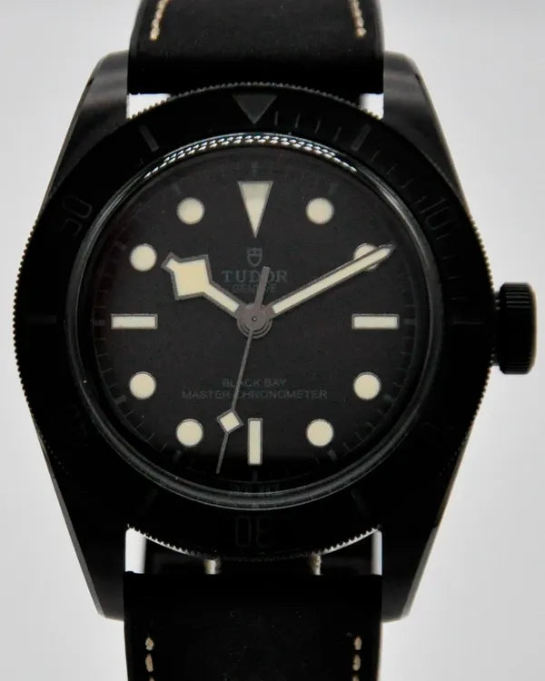 Tudor Black Bay (79210CNU)
