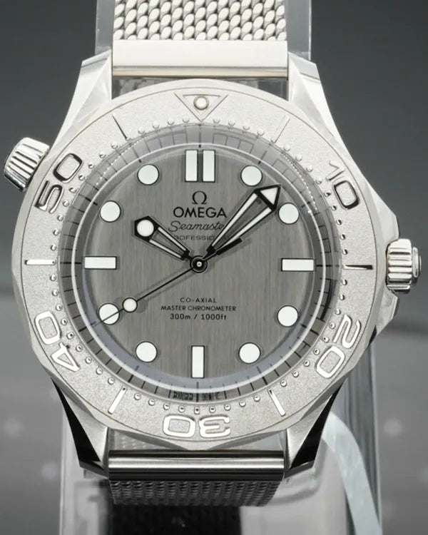 Omega Seamaster Diver 300M (210.30.42.20.06.002)