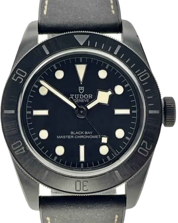 Tudor Black Bay (M79210CNU-0001)