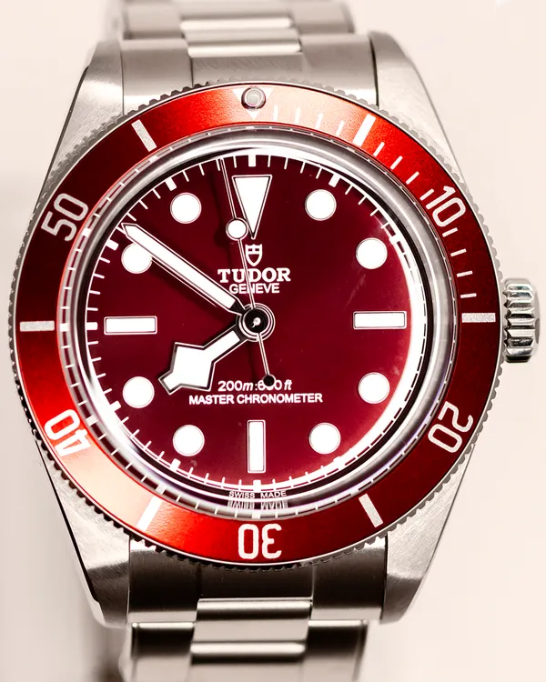 Tudor Black Bay (M7939A1A0RU-0002)