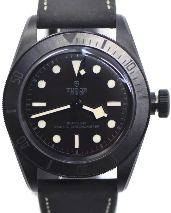 2021 Tudor Black Bay 41MM Black Dial Rubber Strap (79210CNU)