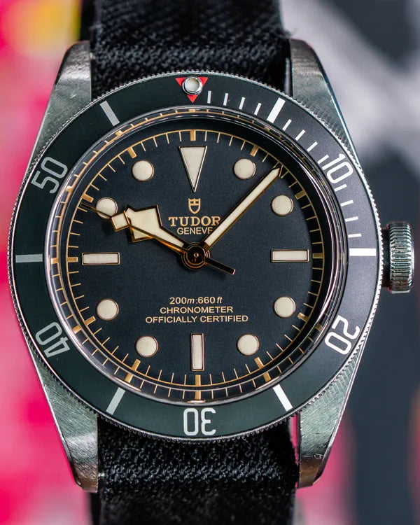 2020 Tudor Black Bay 41MM Black Dial Textile Strap (79230N)