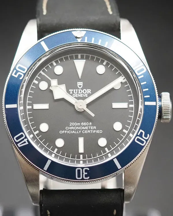 (leslie)Tudor Black Bay (79230B)