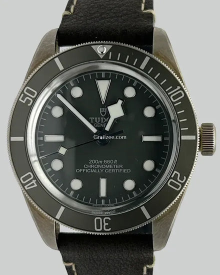 2025 Tudor Black Bay 58 39MM Grey Dial Leather Strap (79010SG)