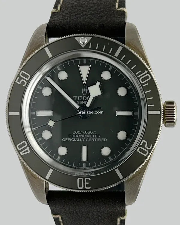 2025 Tudor Black Bay '58 39MM Grey Dial Leather Strap (79010SG)