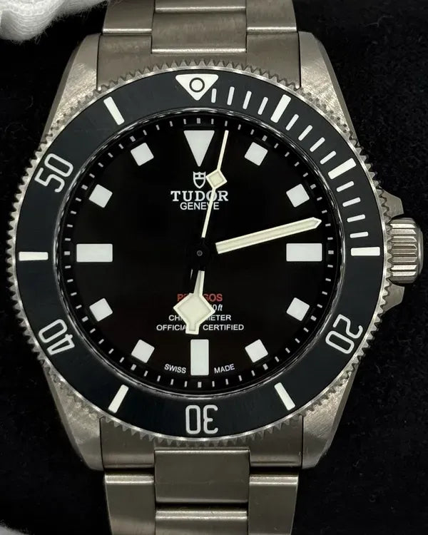 Tudor Pelagos (25407N)