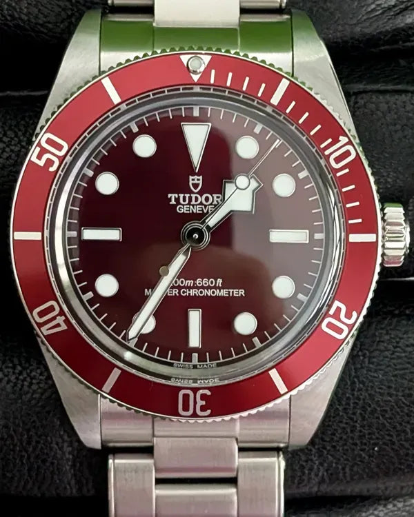 Tudor Black Bay (M7939A1A0RU-0002)