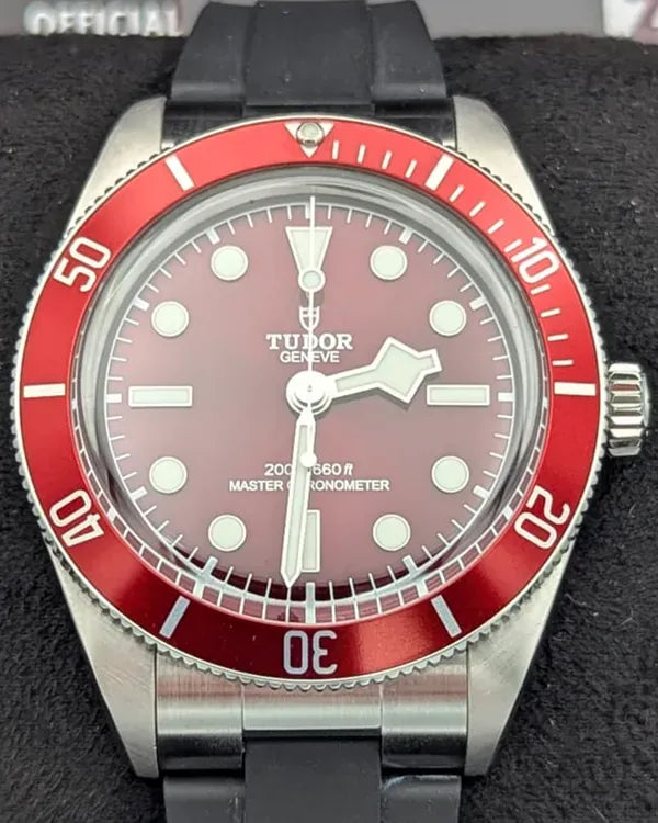 Tudor Black Bay (M7939A1A0RU-0003)
