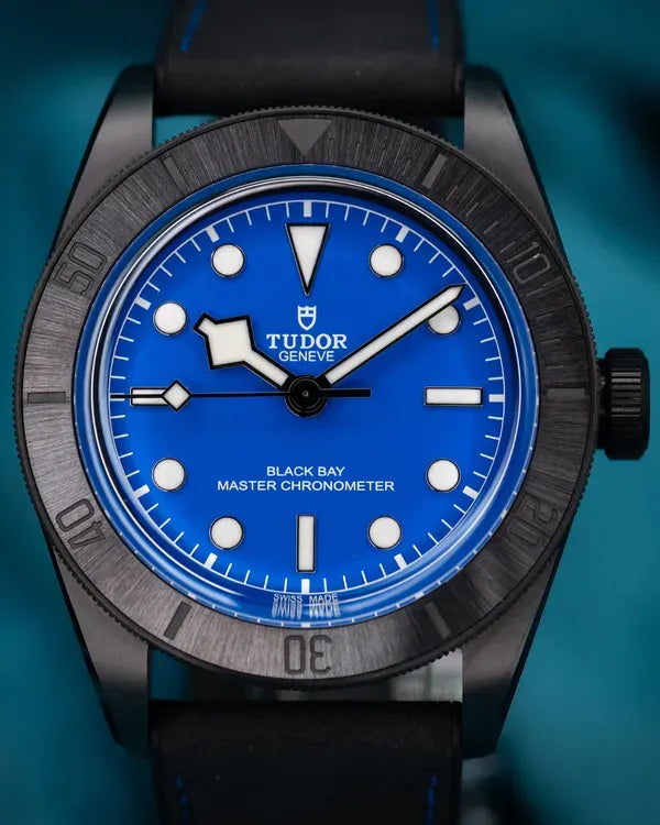 Tudor Black Bay (79210cnu-0007)