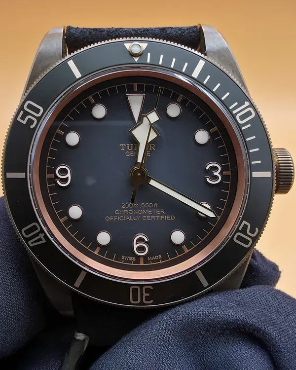 Tudor Black Bay (M79250BA-0001 )