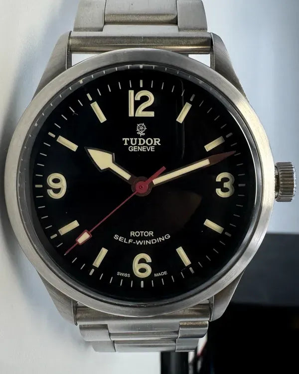 Tudor Ranger (79910)