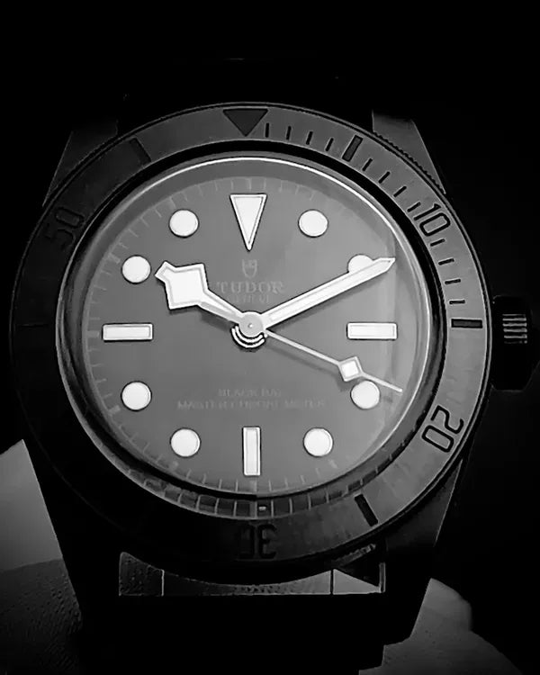 Tudor Black Bay (79210CNU)