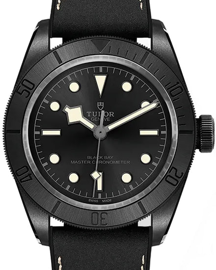 No Reserve - 2023 Tudor Black Bay 41MM Black Dial Leather Strap (79210CNU)