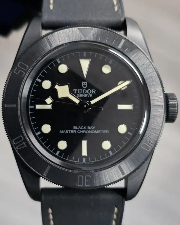 Tudor Black Bay 41MM Black Dial Leather Strap (79210CNU)