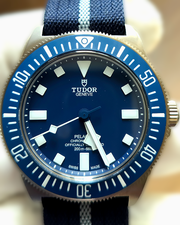 2022 Tudor Pelagos FXD 42MM Blue Dial Textile Strap (25707B/22)