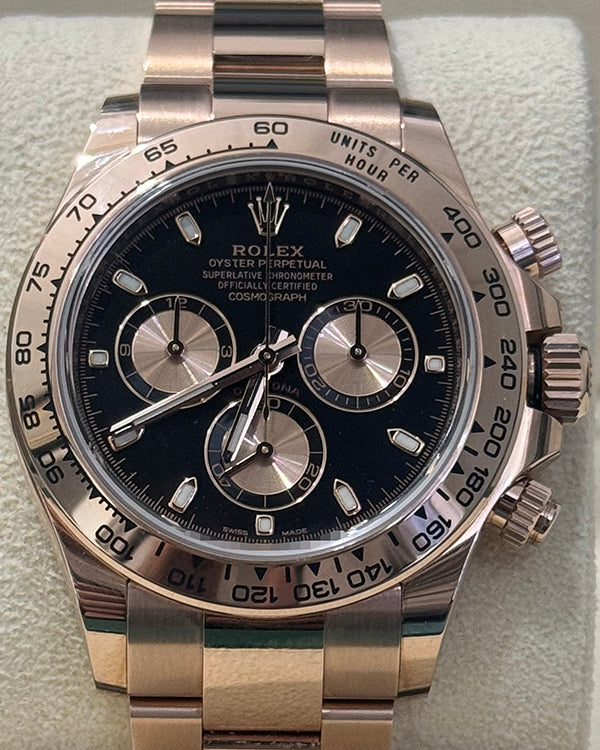 2022 Rolex Cosmograph Daytona 40MM Black Dial Everose Gold Oyster Bracelet (116505)